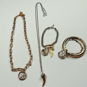 Trendy Zara  Gold and Silver Jewelry Set